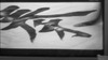 2005_bernay_appart_nb_tv_calligraph